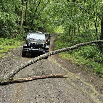 New River ATV - The downed tree that had to be removed from the road - ATV Rentals/Tours Near Me - Fayetteville, West Virginia New River ATV - The downed tree that had to be removed from the road - ATV Rentals/Tours Near Me - Fayetteville, West Virginia