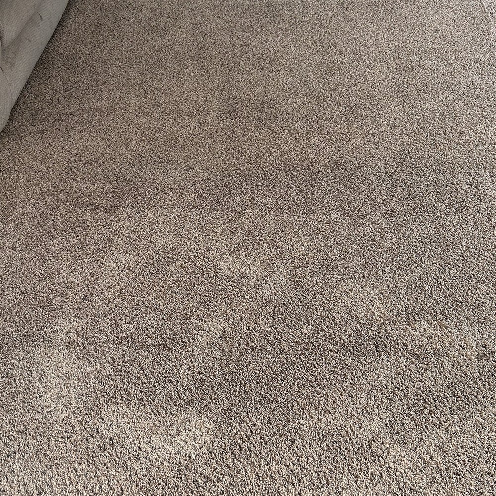 FH Carpet Cleaning - 2nd part of dining area - Carpet Cleaning Near Me