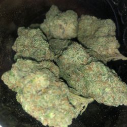 Chronorado - Jungle Cake