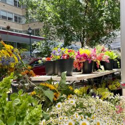 Rittenhouse Farmers’ Market