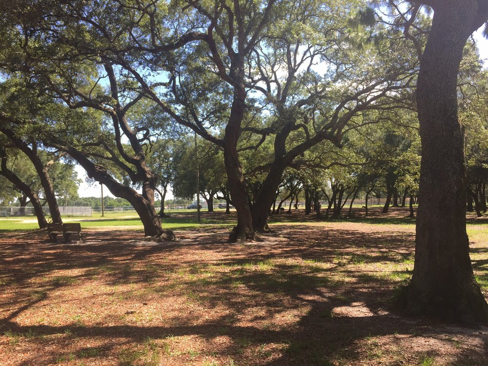Niceville Dog Park Logo