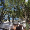 Rose Hall Half-moon Bay Jamaica gift card