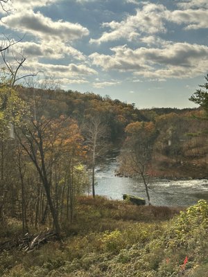 Gracie's Luncheonette by null