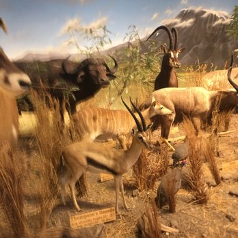 Cabela's - Outdoor Gear Near Me - Lehi, Utah