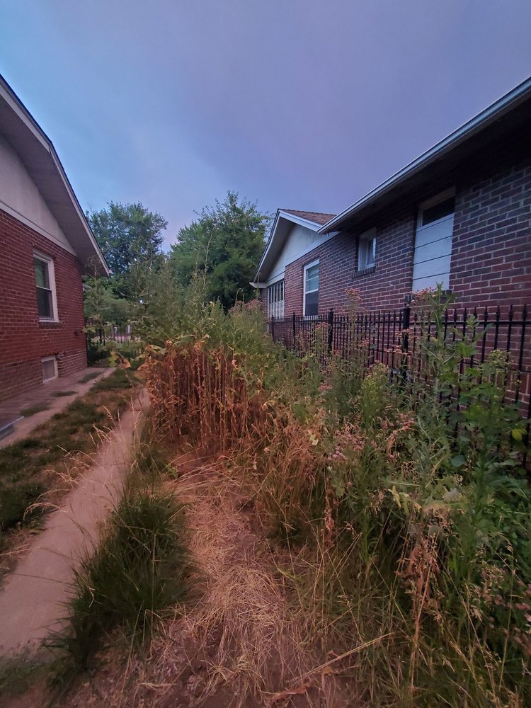 Patton Property Maintenance - veterans service organization in Wheat Ridge, CO