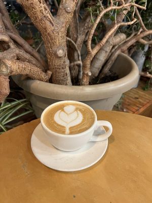 Pablo's Coffee - 6th Avenue by null