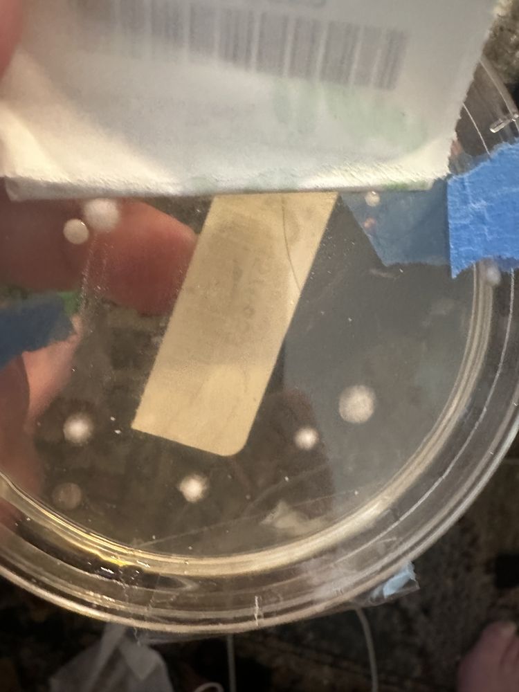 Green Home Solutions - mold inspector in Sterling, VA