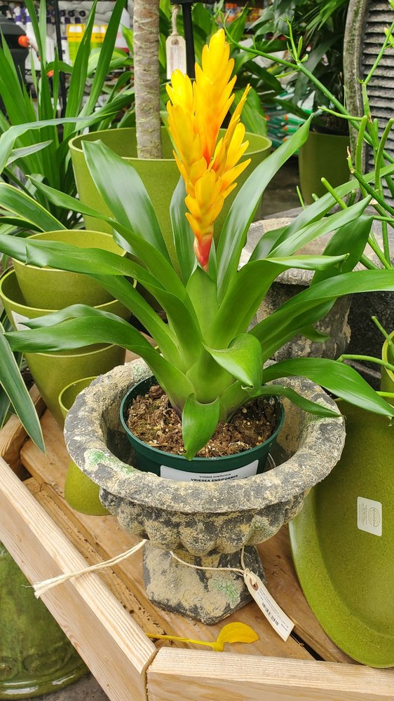 GARDEN SUPPLY COMPANY 98 Photos & 65 Reviews 1421 Old Apex Rd, Cary, NC Yelp