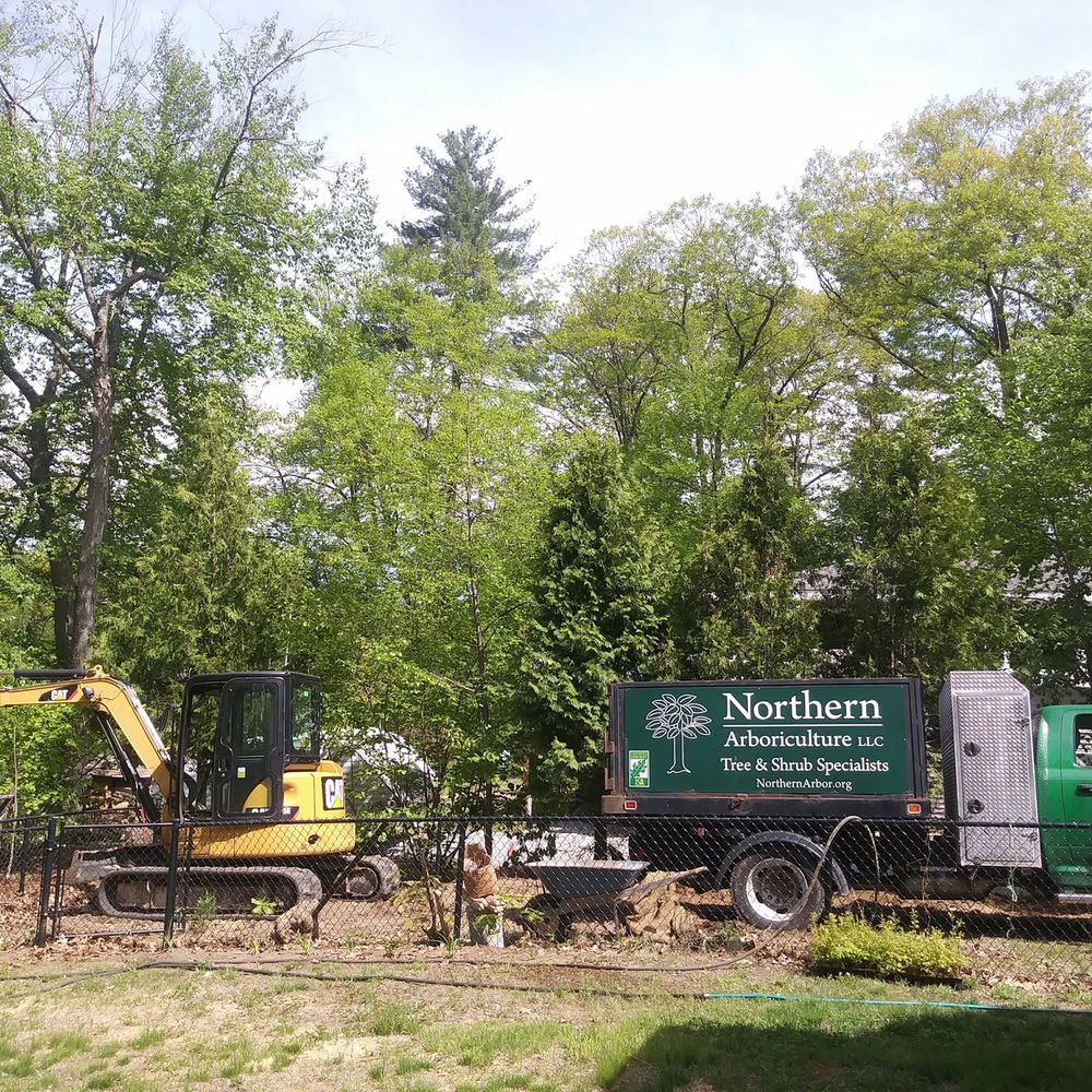 Northern Arboriculture - Northern Arboriculture's crew removed and then replaced my chain link fence to do their work. - Tree Services Near Me - Merrimack, New Hampshire Northern Arboriculture - Northern Arboriculture's crew removed and then replaced my chain link fence to do their work. - Tree Services Near Me - Merrimack, New Hampshire