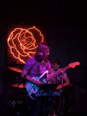 Las Rosas by null