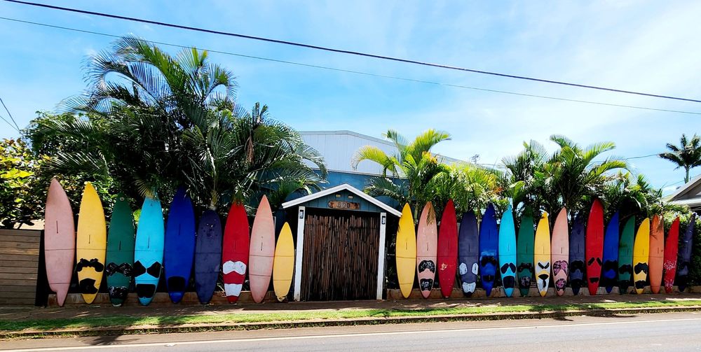 Aloha Surf Hostel