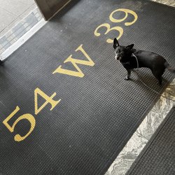 Lyons Den Power Yoga - Mascot Josie