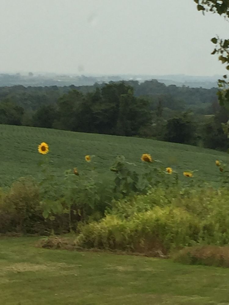 EXIT REALTY PREMIER PROPERTIES 328 South Marquette Rd, Prairie du