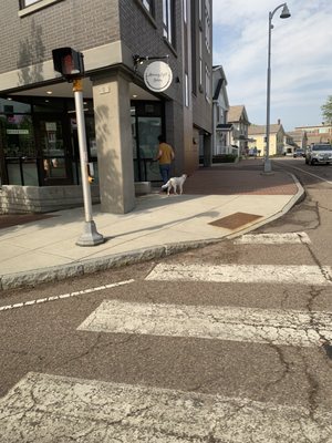 Morning Light Bakery by null