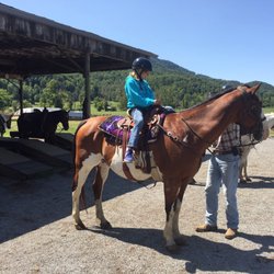 Walden Creek Stablescom