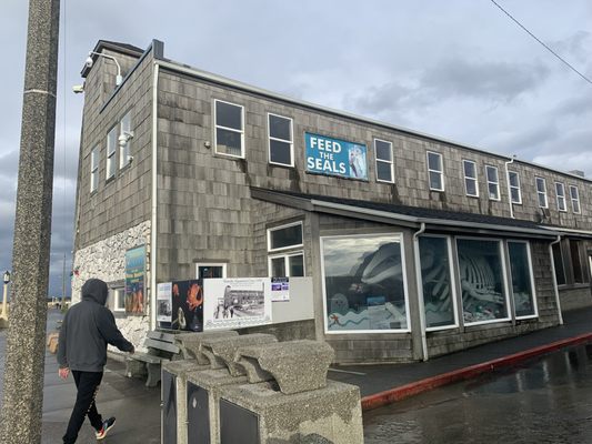 Seaside Aquarium by null