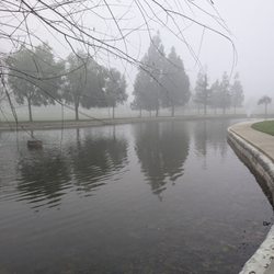 Pond
