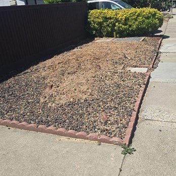 SS Tree Care - Tree Services Near Me