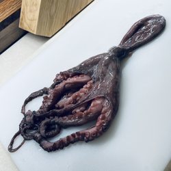 Supermercado La Villita - The squid I bought
