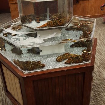 Red Lobster - Yes, they serve fresh lobster here! - Seafood Near Me - New Hartford, New York Red Lobster - Yes, they serve fresh lobster here! - Seafood Near Me - New Hartford, New York
