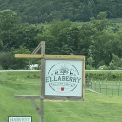 Ellaberry Llama Farm
