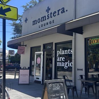 Momstera Lounge - Nurseries & Gardening Near Me - Campbell, California Momstera Lounge - Nurseries & Gardening Near Me - Campbell, California