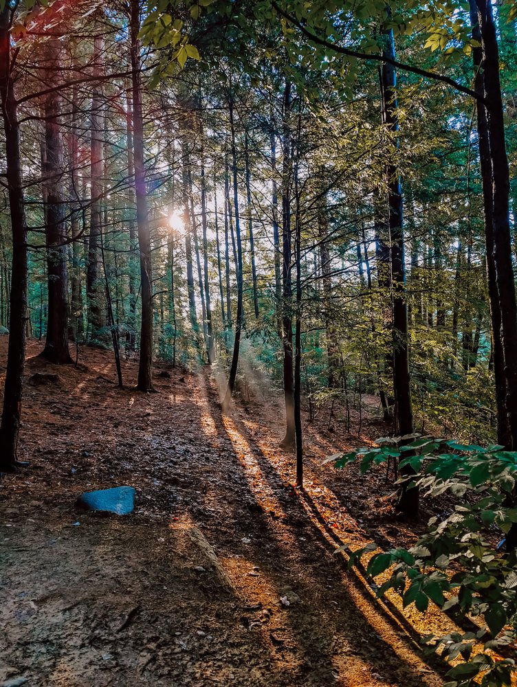 POP’S LAKE CAMPGROUND Updated August 2024 37 Photos & 11 Reviews