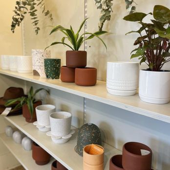 Dirt Bag - Nurseries & Gardening Near Me - Houston, Texas Dirt Bag - Nurseries & Gardening Near Me - Houston, Texas