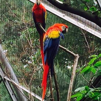 Queens Zoo - These sweet babies giving me the over-the-shoulder eye. - Zoos Near Me - Corona, New York