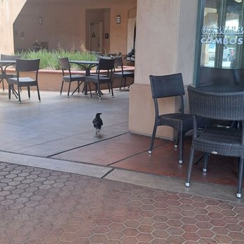 Corner Bakery Cafe - Breakfast & Brunch Near Me - Carlsbad, California