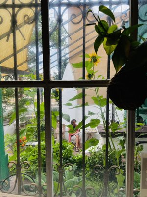 Iconik Coffee Roasters by null