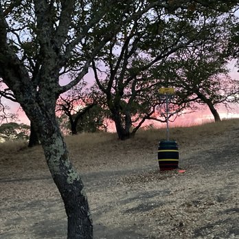 Skyline Wilderness Park - Hole 8 at the upper disc golf course. - Parks Near Me - Napa, California Skyline Wilderness Park - Hole 8 at the upper disc golf course. - Parks Near Me - Napa, California