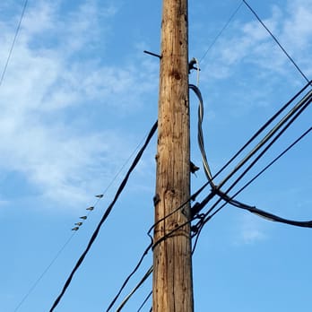 Fort Totten Park - Birds resting. - Parks Near Me - Bayside, New York