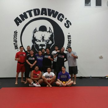 Antdawg's MMA - Adult martial arts program! First group of yellow belts!! - Gyms Near Me - Gilroy, California