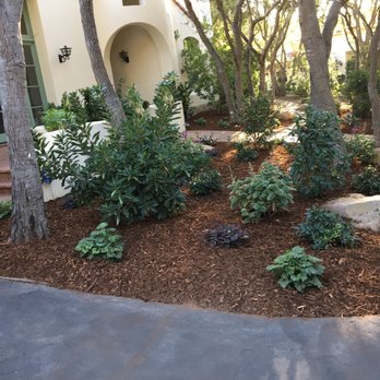 Del Monte Landscaping - Front of the house with a new landscape installation with the various trees trimmed for a more open non cluttered look - Landscaping Near Me Del Monte Landscaping - Front of the house with a new landscape installation with the various trees trimmed for a more open non cluttered look - Landscaping Near Me