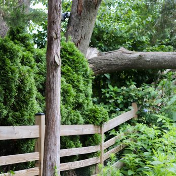 Affordable Tree Service - Tree Services Near Me