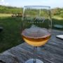 Photo of Shenandoah Wine Tours
