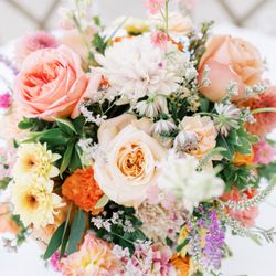 Strelitzia Flower Company