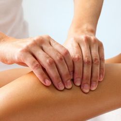 Northgate Physiotherapy Chiropractic & Massage Therapy Centre - Photo