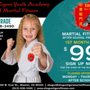 Shogun Tigers Youth Academy And Martial Fitness