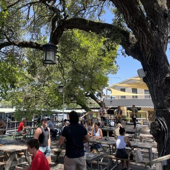 Mozart's Coffee Roasters - Coffee & Tea Near Me - Austin, Texas