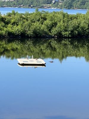 Paugus Bay Campground by null