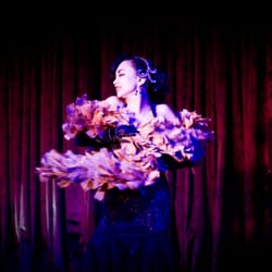 Fishnet Follies - Mynx D' Meanor