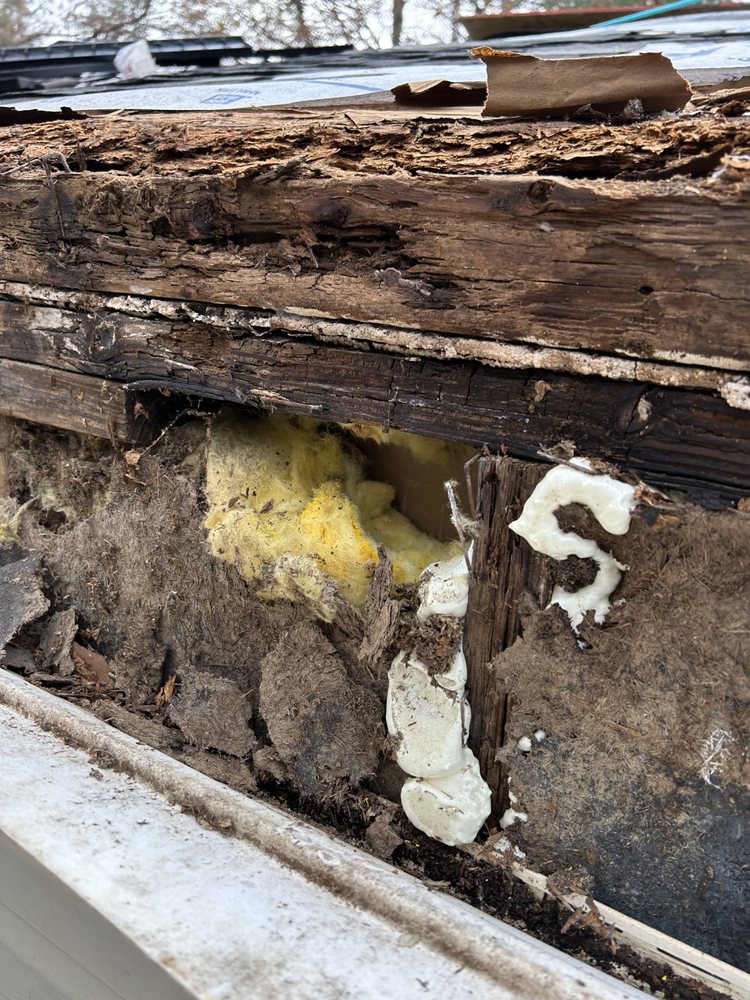 Slide of Handyman Plus