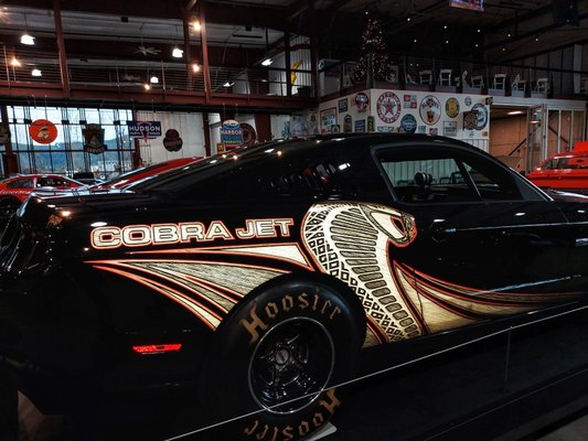 Thunder Dome Car Museum by null