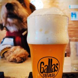 21 Brewpub Gallas Craft Beer - Pet friendly