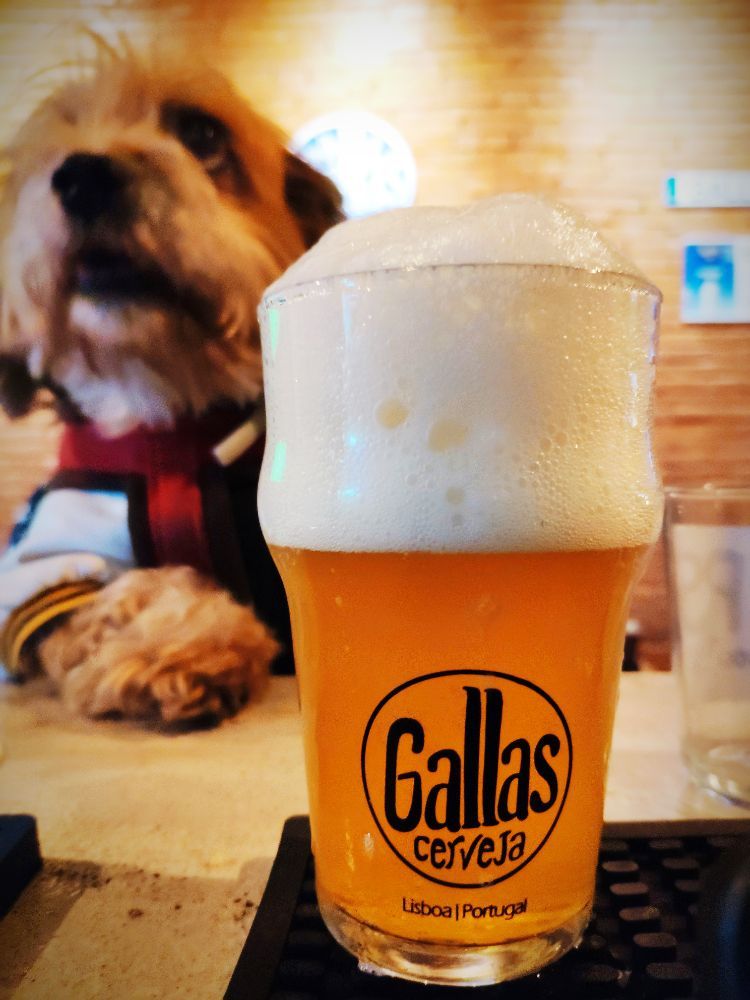 21 Brewpub Gallas Craft Beer