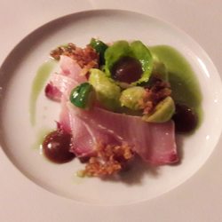 Le Gourmet - Buttermakrele mit Rosenkohlsaft