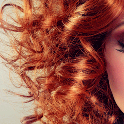 Barrett & Co. School of Hair Design