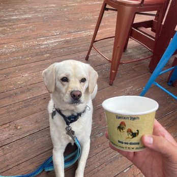 Buddy Lou's Eats Drinks & Antiques - Spooner wants his pup cup. - New American Near Me - Hancock, Maryland